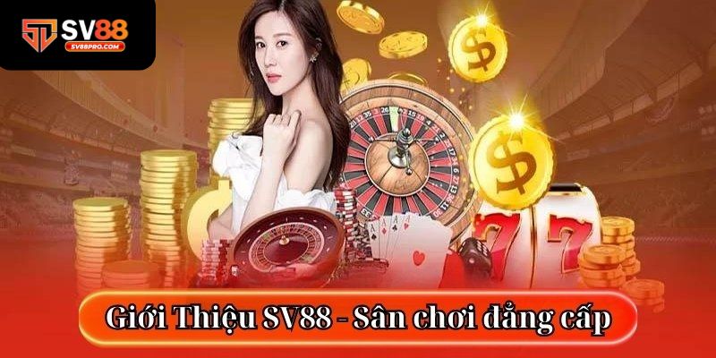 Một sân chơi đỉnh cao bao gồm tất cả những yếu tố cần thiết