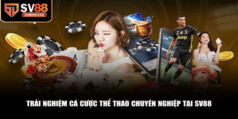 Là kênh cá cược thể thao được đông đảo người chơi toàn quốc yêu thích